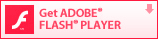 Get ADOBE FLASH PLAYER